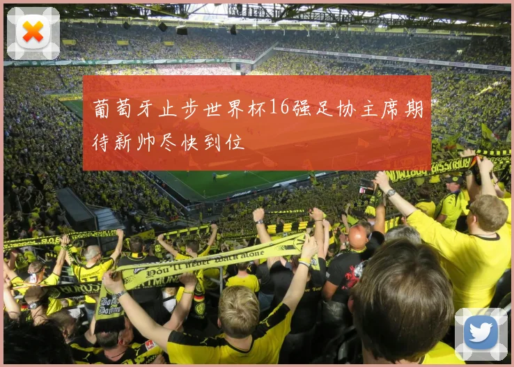 葡萄牙止步世界杯16强足协主席期待新帅尽快到位