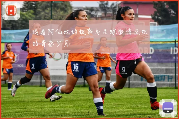 我看阿仙奴的故事与足球激情交织的青春岁月