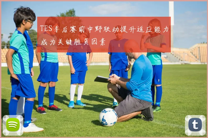 TES季后赛前中野联动提升适应能力成为关键胜负因素